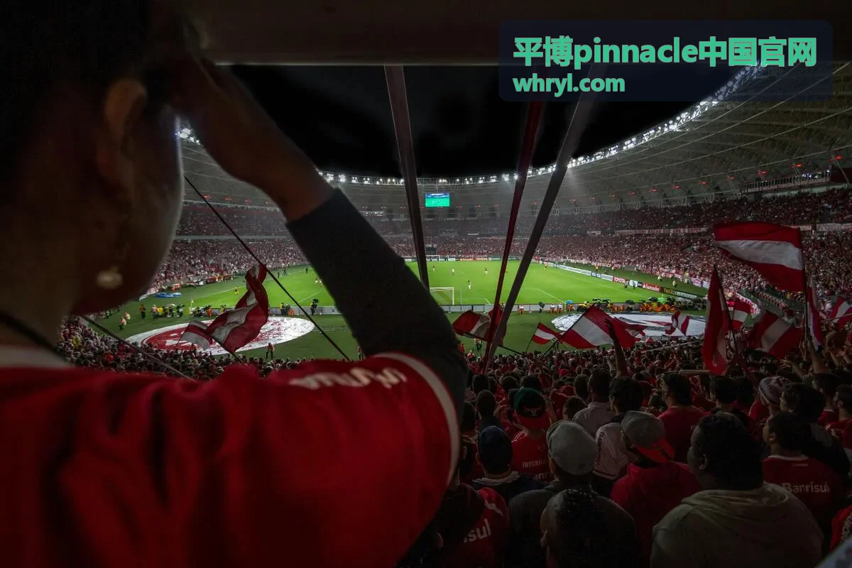 平博Pinnacle优惠方案适用场景展示